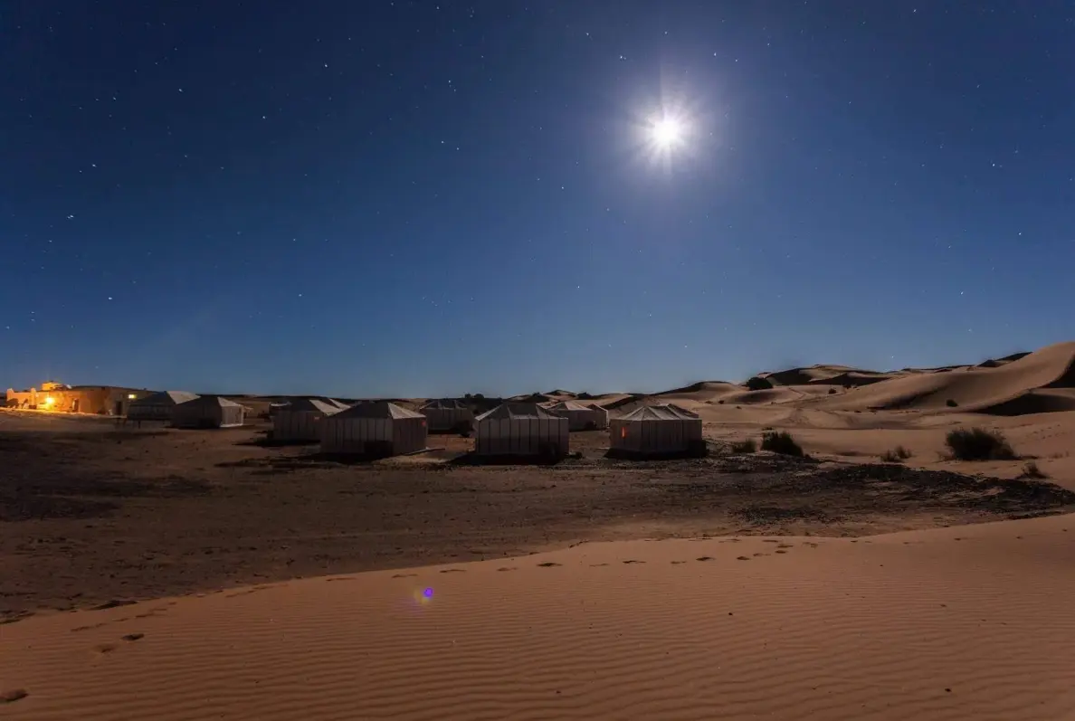 The White Camel Acacia