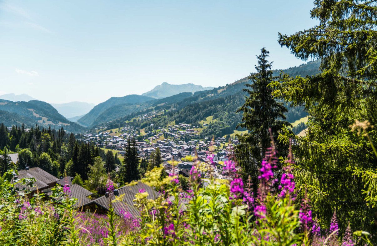 Mountain view